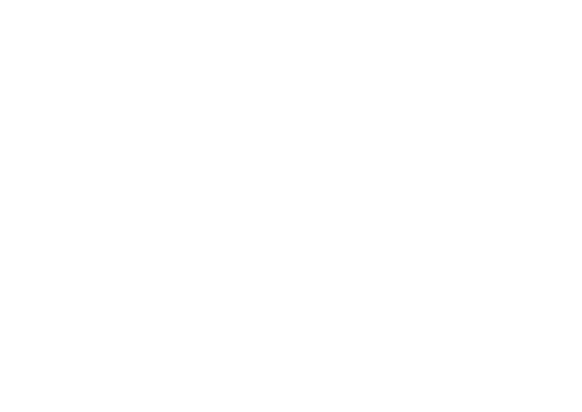 Hydro Nenzing
